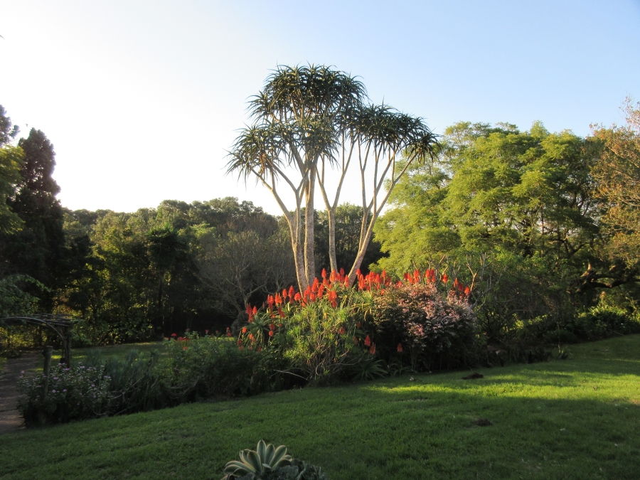 3 Bedroom Property for Sale in Bathurst Eastern Cape